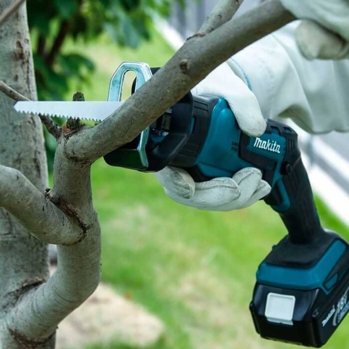 8943071f-a6d7-4b60-986f-31733e9aaa3e.jpg 8943071f-a6d7-4b60-986f-31733e9aaa3e.jpg